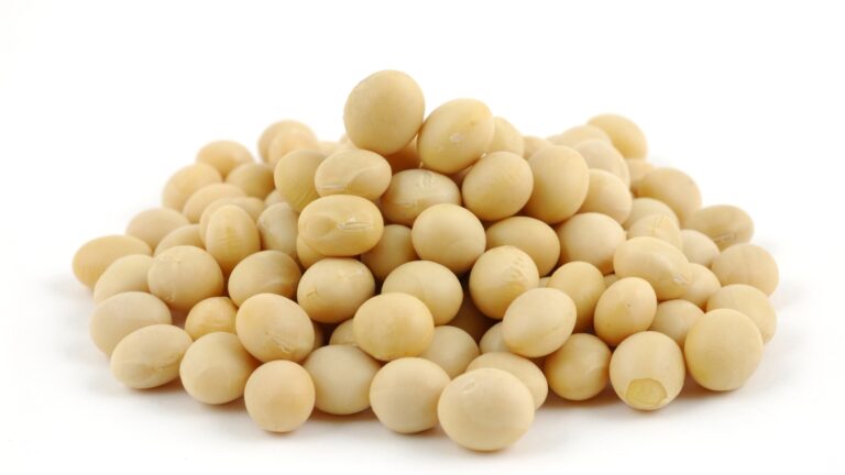 Soy Lower Testosterone featured image